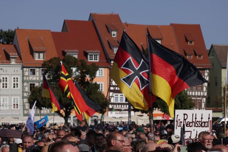 Le parti allemand d’extrême droite AfD se réjouit de l’appel d’Olaf Scholz en faveur d’un sommet de paix avec la Russie
