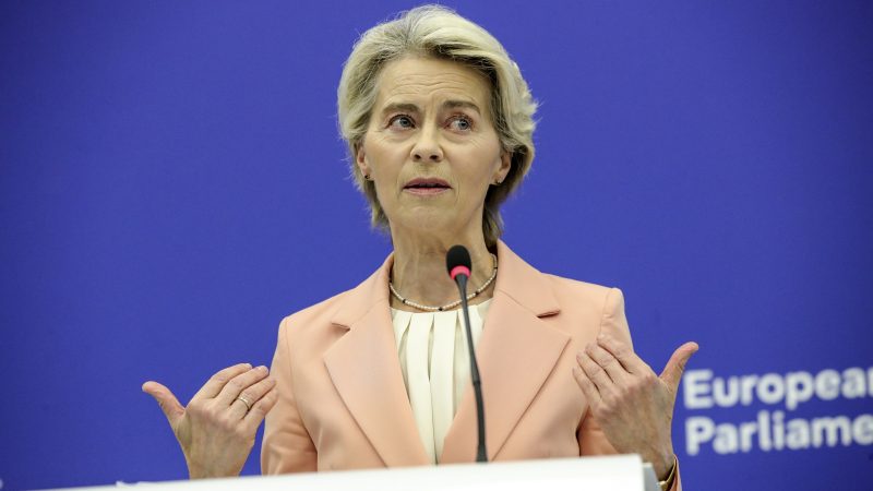 La Commission européenne retarde d’un an l’application du règlement anti-déforestation