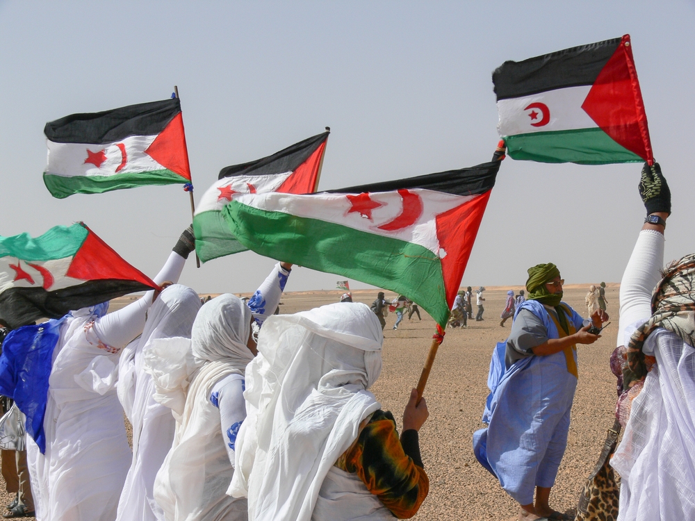 Moroccan,Western,Sahara,Wall,,Western,Sahara.,March,,22,,2008.,Demonstration