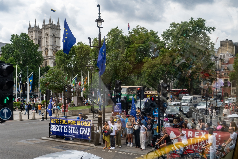 London,,Uk,-,July,24,,2024:,Brexit,Protest,Sign,Says
