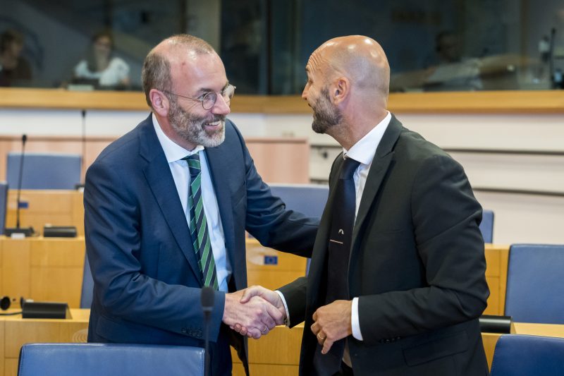 Le PPE peut-il faire passer des amendements au règlement anti-déforestation de l’UE ?