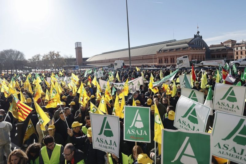 À Madrid, des milliers d’agriculteurs venus de toute l'Espagne protestent contre l’accord UE-Mercosur