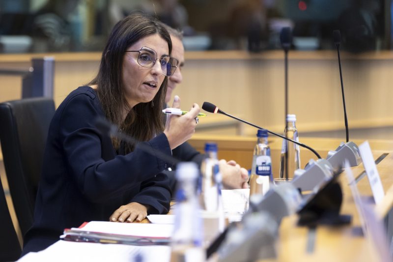 Simplification : des ONG saisissent la Médiatrice européenne contre un processus jugé « non démocratique »