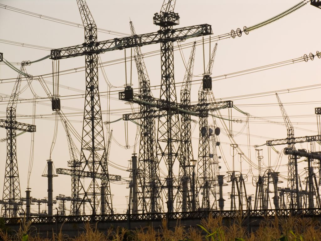 Europe. Romania. Delta Of The Danube River. South Of Galati. Pylons