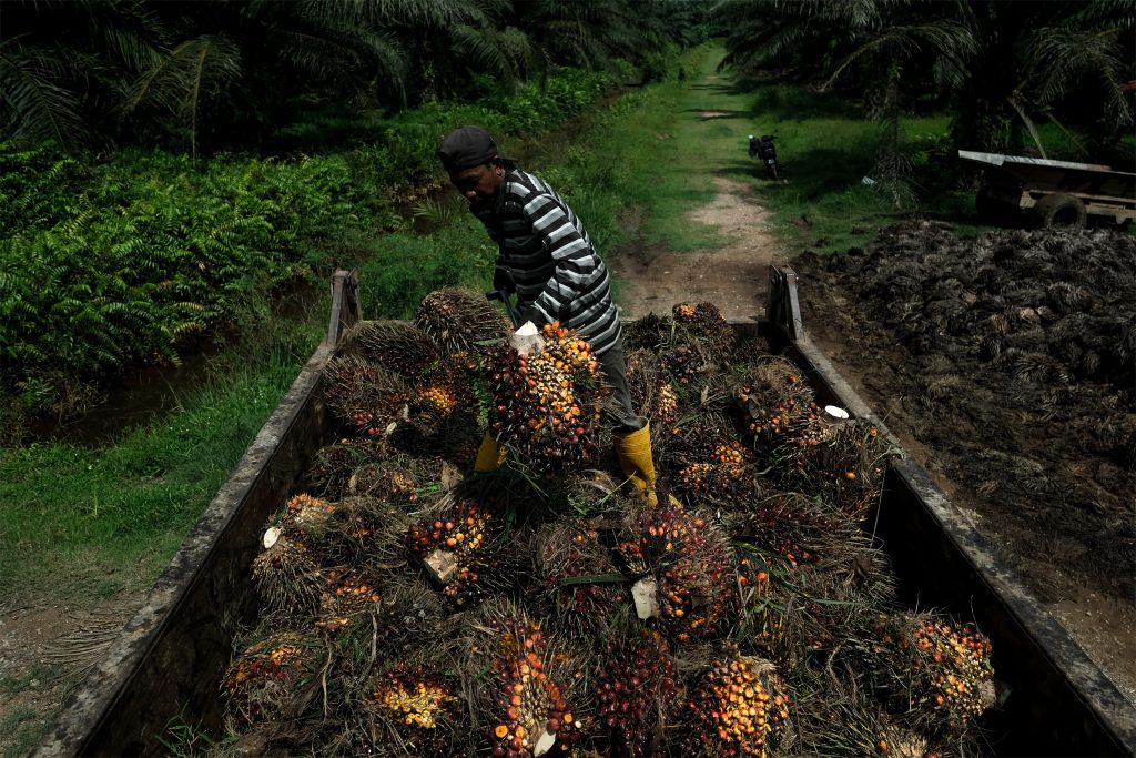 Malgré des désaccords sur la déforestation, les négociations commerciales entre l’UE et la Malaisie reprennent