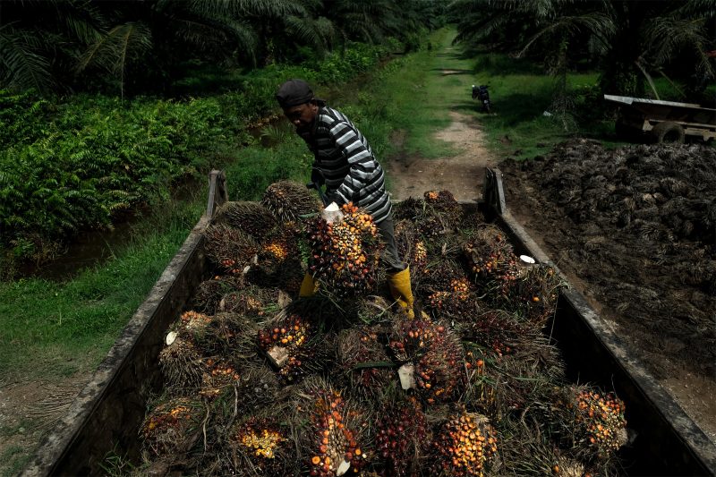 Malgré des désaccords sur la déforestation, les négociations commerciales entre l’UE et la Malaisie reprennent