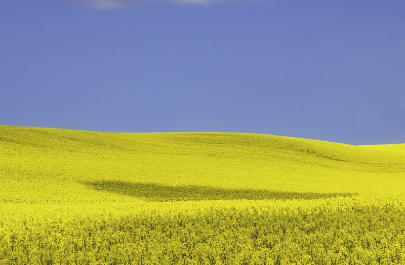 La Pologne souhaite lier les négociations sur le commerce agricole avec l’Ukraine à l’accord UE-Mercosur