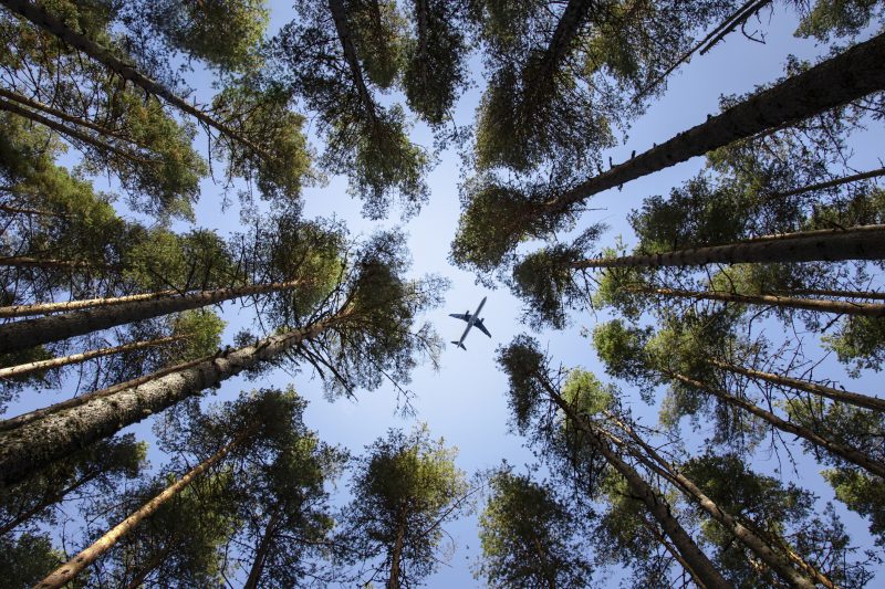 Aviation : le Portugal va lancer des appels d’offres pour la production de carburant durable