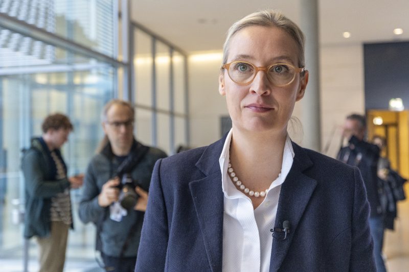 Le pari de l’extrême droite en Allemagne : Alice für Deutschland ?