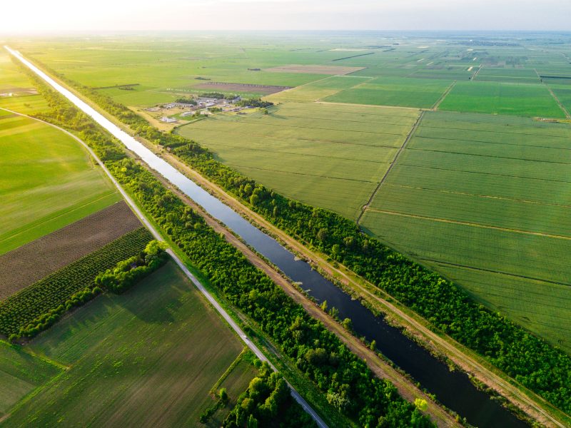 La biomasse durable, sujet phare du Forum mondial de l'alimentation et de l’agriculture à Berlin 