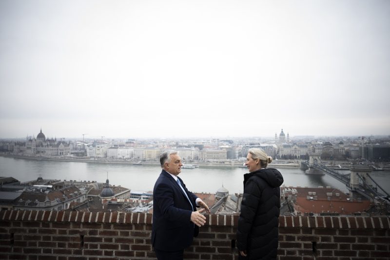 L’Alternative pour l’Allemagne intensifie ses efforts diplomatiques et rencontre Viktor Orbán à Budapest