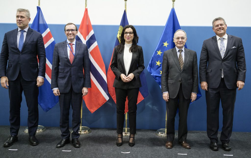 European Economic Area Council