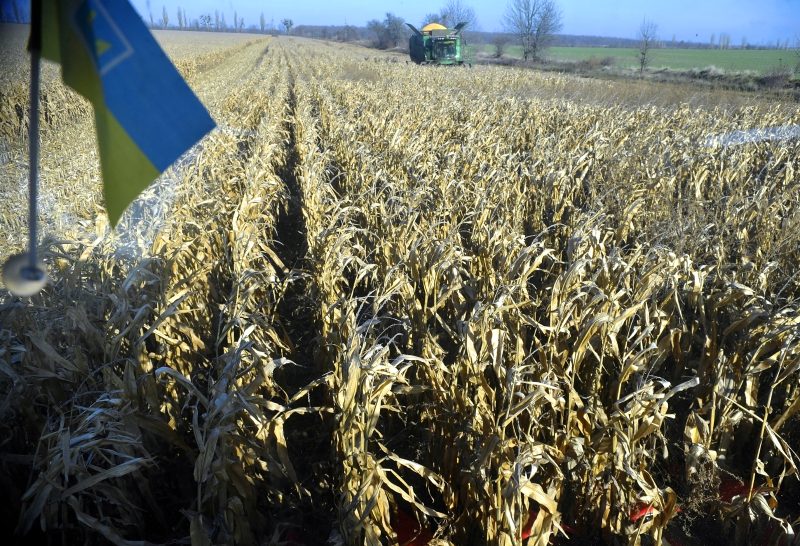 Les États membres de l’UE donnent leur feu vert au retour des droits de douane sur les importations agricoles ukrainiennes