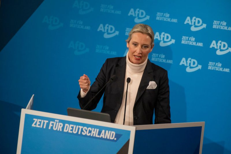 Allemagne : l'AfD classée comme parti d'extrême droite par le renseignement