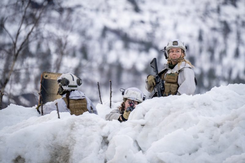 La Norvège inaugure une nouvelle brigade arctique et se rapproche de son engagement envers l'OTAN 