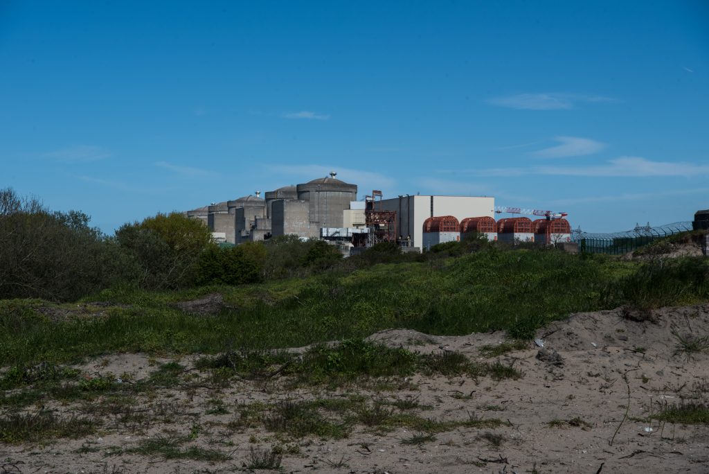 Nucléaire : à Gravelines, des méduses mettent quatre réacteurs à l’arrêt