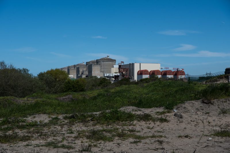 Nucléaire : à Gravelines, des méduses mettent quatre réacteurs à l’arrêt