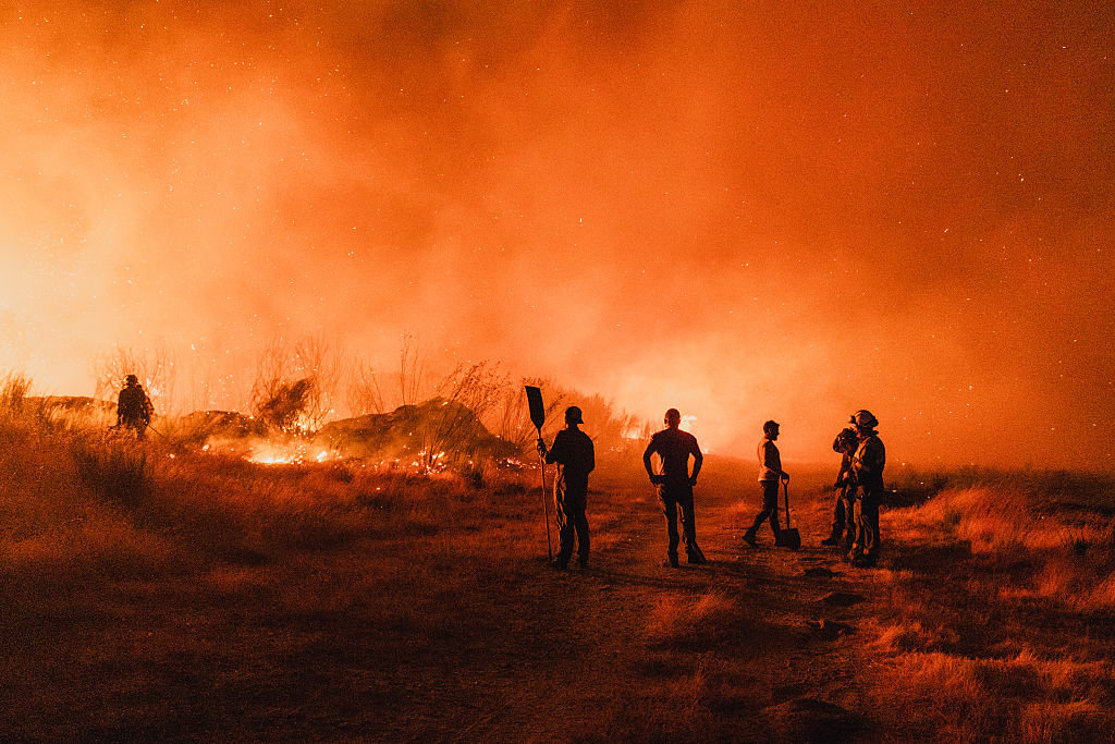 Les terres agricoles, victimes et boucliers face aux incendies en Europe
