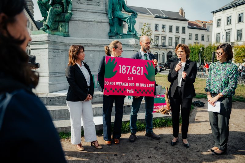 Des ONG se mobilisent contre le recul environnemental à Bruxelles