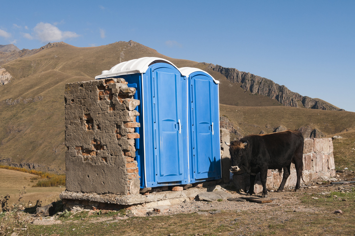 En Belgique, des « toilettes pour vaches » pour lutter contre la pollution agricole