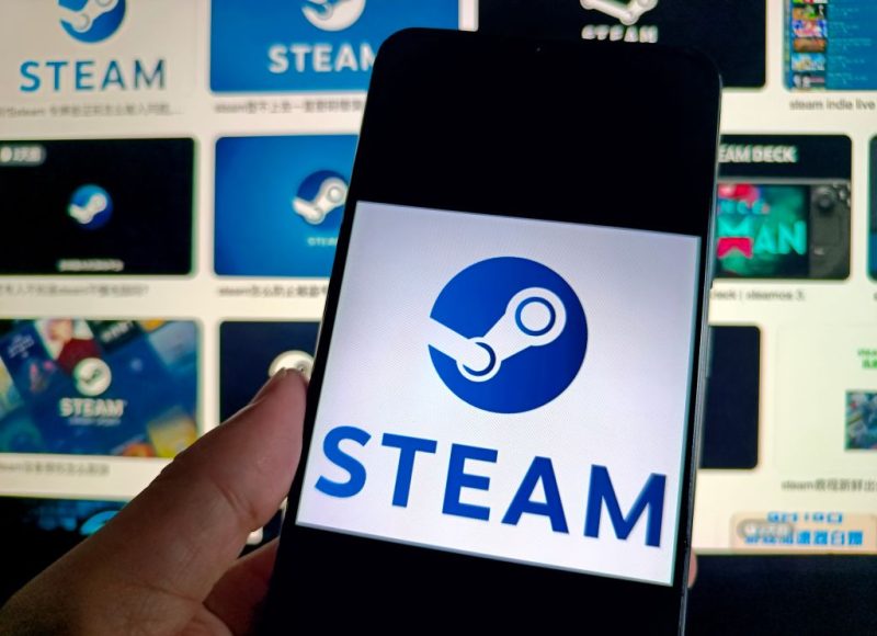 Les Néerlandais reprochent aux développeurs de jeux de ne pas protéger les joueurs en ligne