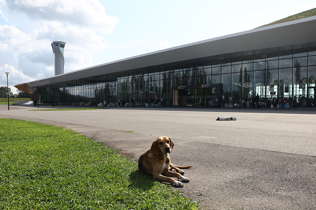 Les animaux de compagnie considérés comme des bagages en avion, selon une décision de la justice européenne