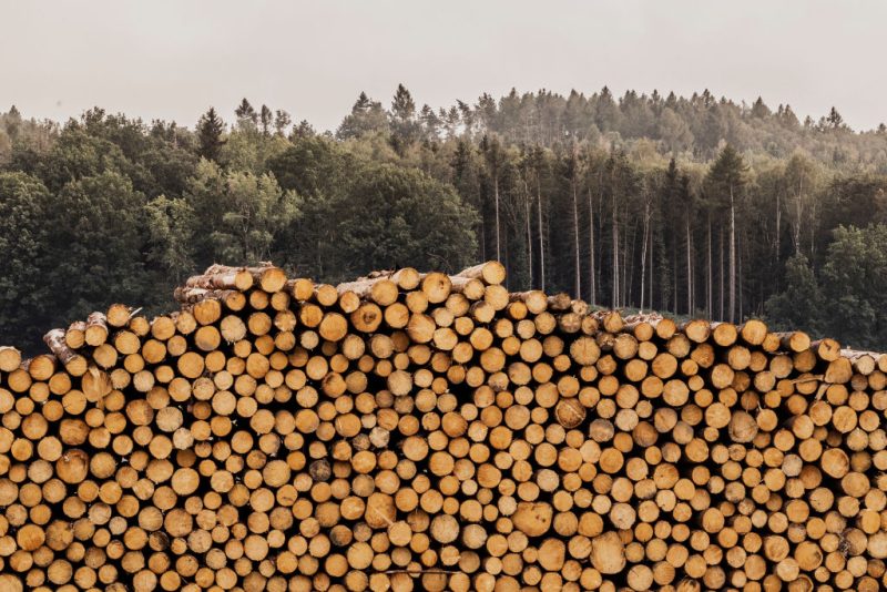 Les institutions de l’UE divisées sur les règles anti-déforestation, alors que l’idée d’un report gagne du terrain