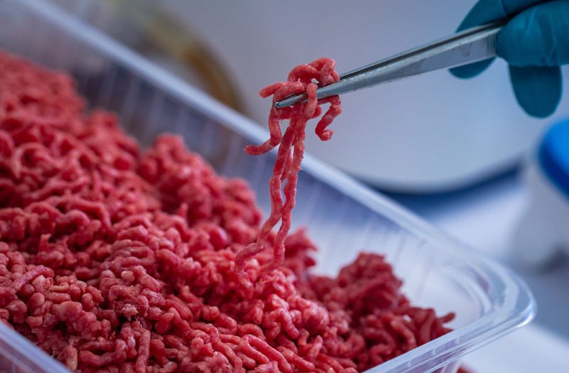 Malgré les avertissements de Bruxelles, la Hongrie maintient son interdiction de la viande de synthèse