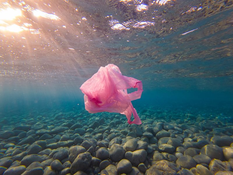 Pollution marine : l’UE fixe une limite de déchets sur les fonds marins