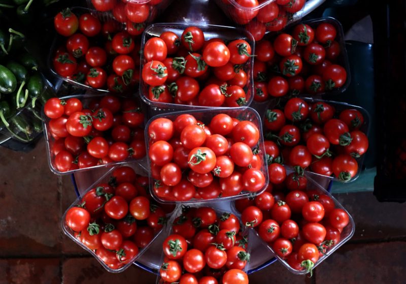 La baisse des importations de tomates marocaines suscite l'inquiétude des agriculteurs européens