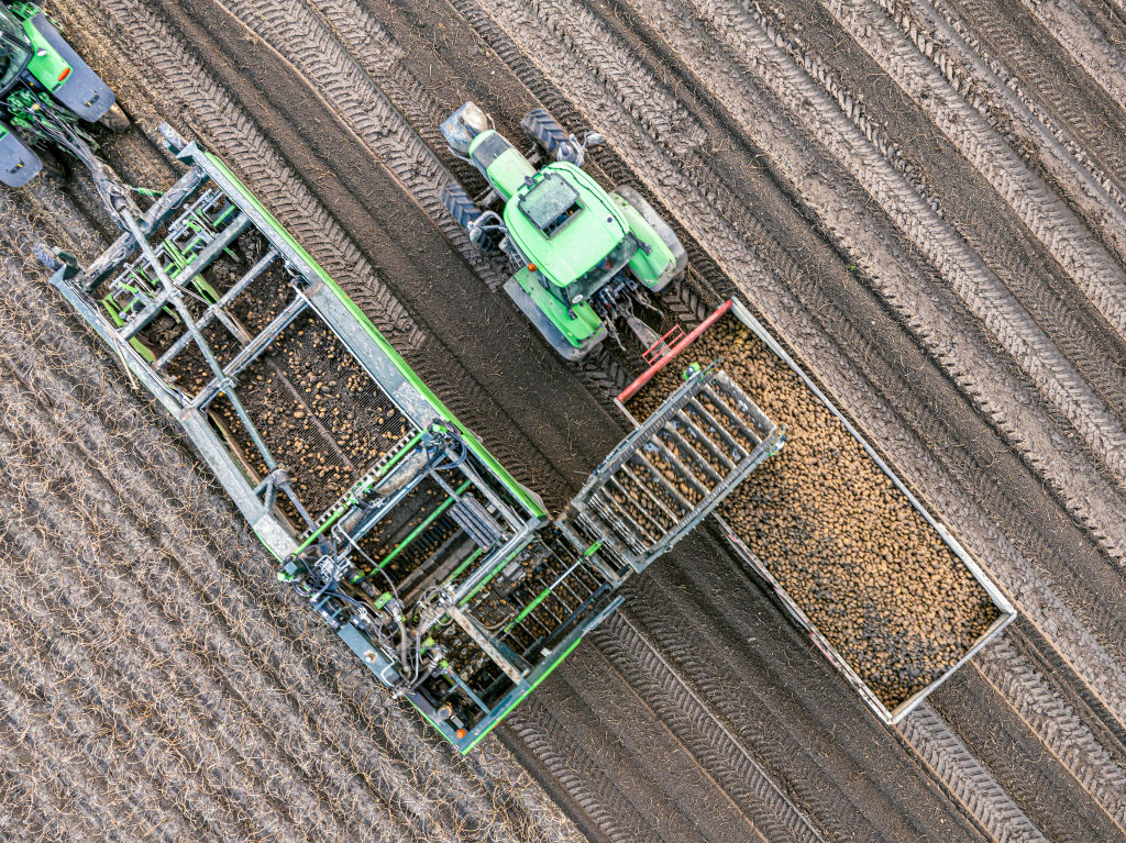 Potato and Carrot Harvesting in Netherlands