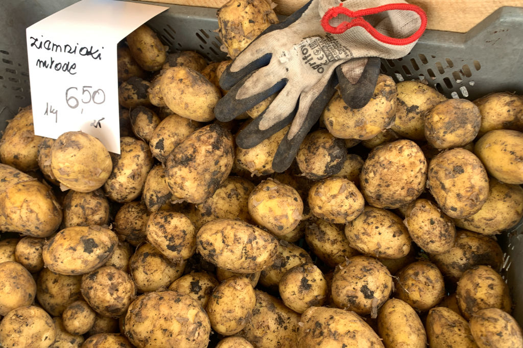 La Pologne mise sur le « patriotisme de la pomme de terre » face à la flambée des importations