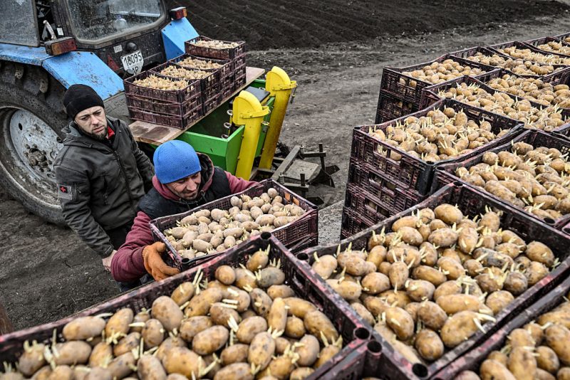 Kiev rétablit son ministère de l'Agriculture