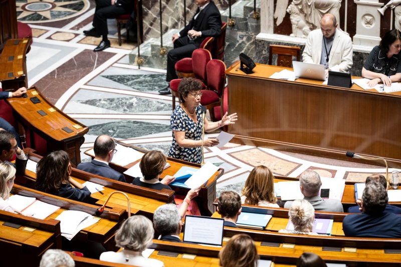 Polémique sur les pesticides : Monique Barbut retire sa démission