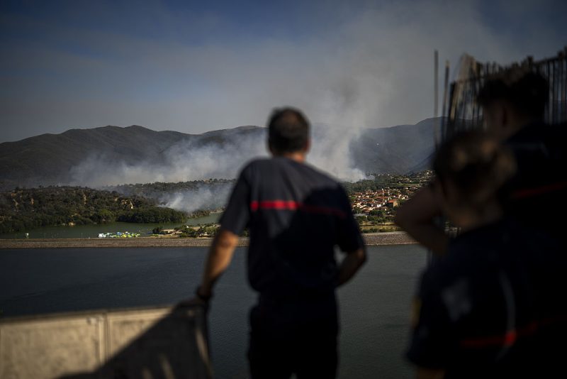 L'Europe en proie aux flammes : la faute aux monocultures forestières ?