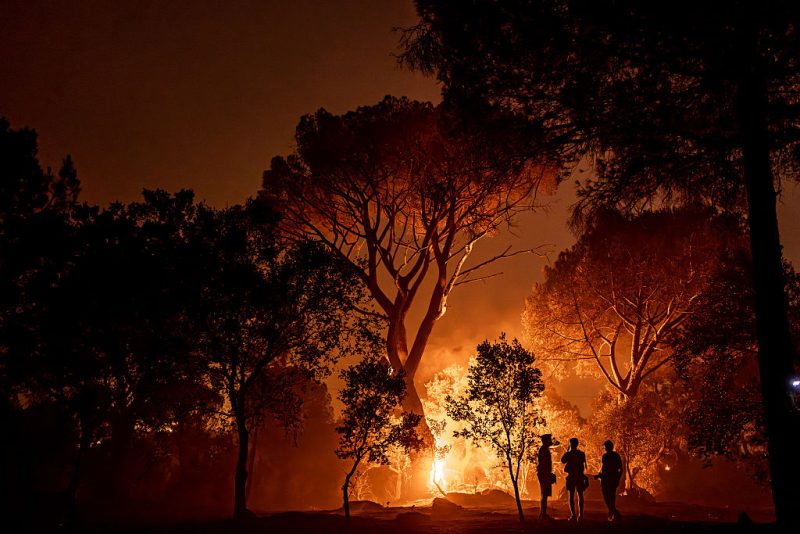 Incendies ravageurs : l'exécutif européen reconnaît être submergé