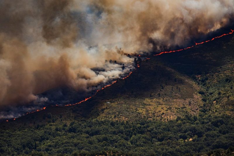 L'Europe brûle : près d’un demi-million d’hectares réduits en cendres