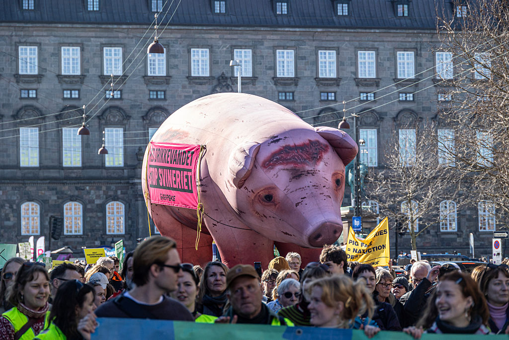 Une eau plus propre : le pacte entre le Danemark et les agriculteurs mis à l'épreuve