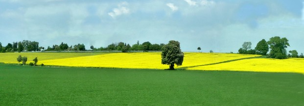 Nur Deutsche empfangen EU-Agrarhilfe noch anonym