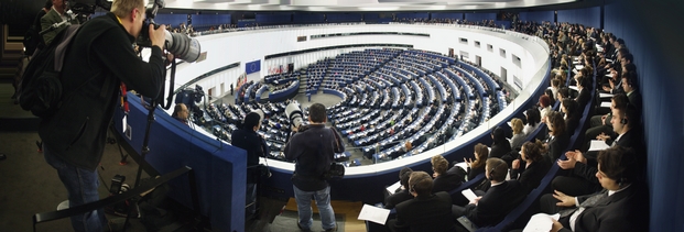 Europawahl - Ausgang und Folgen