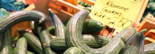 Krumme Gurken wieder im Supermarkt