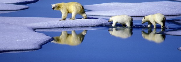 Klimaschutz: Zwei-Grad-Ziel angestrebt