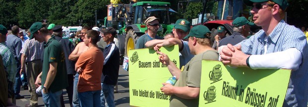 Bauernverband für bisherige EU-Milchquotenpolitik