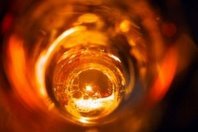 Europaabgeordnete gegen erhöhte Verbrauchssteuer auf Alkohol