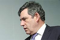 brown02.jpg