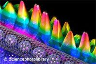 Mehr Nanotechnologie in Verbrauchergütern