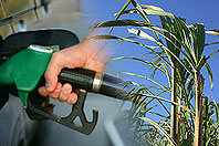 petrol_sugarcane_isp.jpg