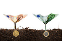 plants_euro.jpg