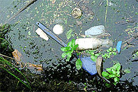 UN: Düngemittel und Plastik verschmutzen globale Gewässer