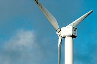 Windkraft könnte bis 2030 mehr als 25% des EU-weiten Strombedarfs decken